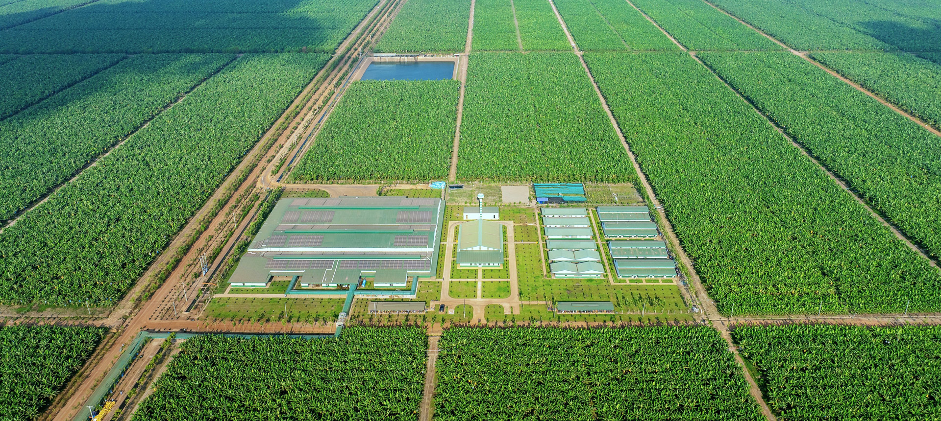 KLH Snuol đạt chứng nhận GLOBALG.A.P. IFA v6 GFS và hoàn thành đánh giá GRASP v2.0, khẳng định năng lực sản xuất theo chuẩn quốc tế